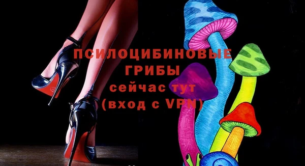 тгк Новодвинск