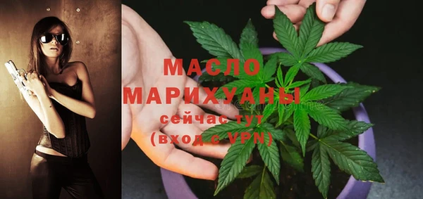 тгк Новодвинск