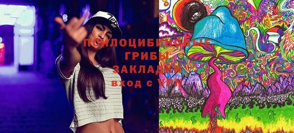 бошки Новозыбков