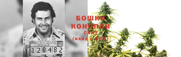 бошки Новозыбков