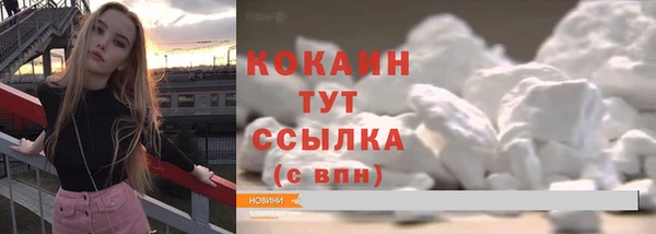 тгк Новодвинск