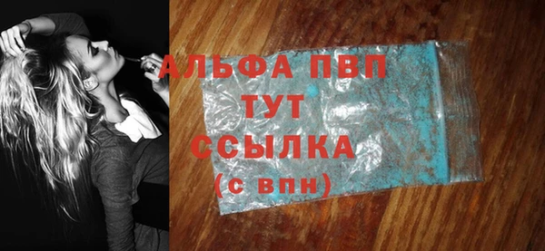 тгк Новодвинск
