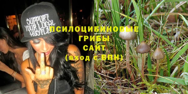 бошки Новозыбков