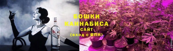 трава Няндома