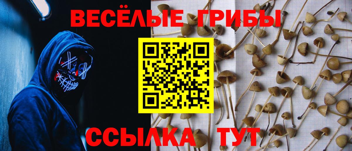 Псилоцибиновые грибы ЛСД Киржач